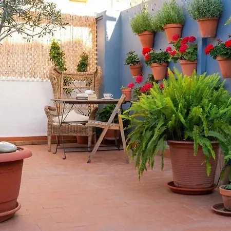 Terrace Near Апартаменты